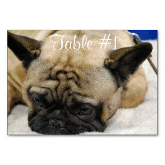 Bulldogs Tischnummer