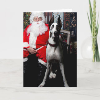 Bulldozer der Therapie-Hund, Weihnachtskarten Feiertagskarte