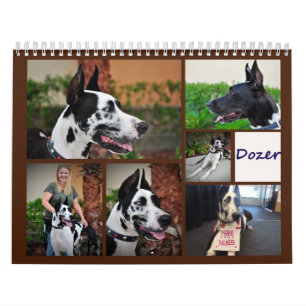 Bulldozer der Therapie-Hundekalender Kalender