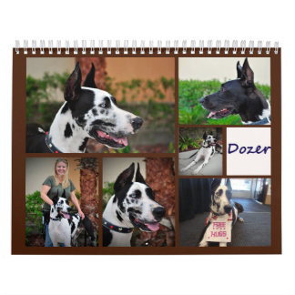 Bulldozer der Therapie-Hundekalender Kalender