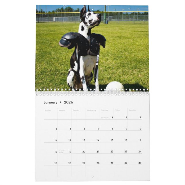Bulldozer der Therapie-Hundekalender Kalender (Jan 2026)