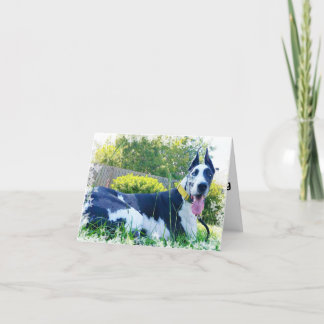 Bulldozer die Therapie-Hundegruß-Karte Karte