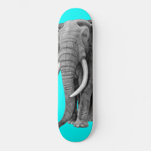 Bulle Elefant - Zeichnend im Stift Skateboard