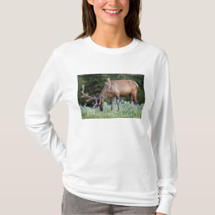 BullenElch mit Geweiden in Samt T-Shirt