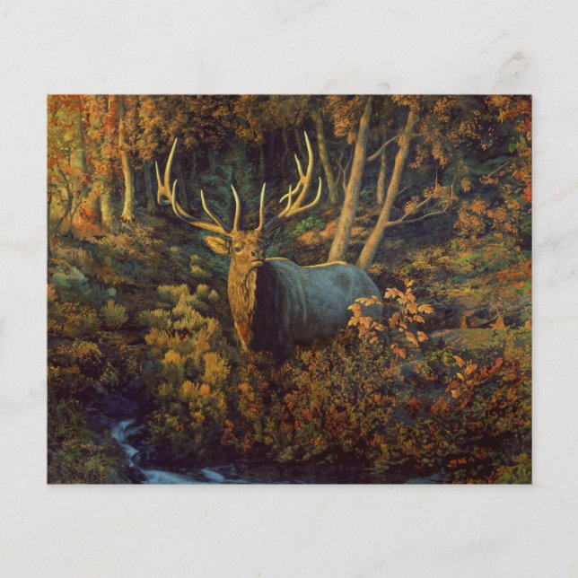 Bullenstech im Herbstwald (Vorderseite)