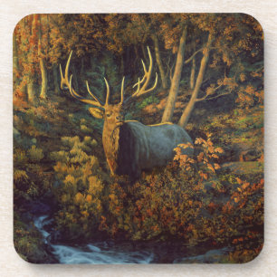 Bullenstech im Herbstwald Getränkeuntersetzer