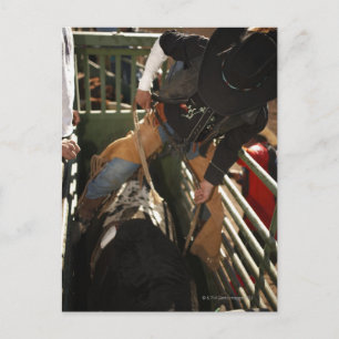 Bullfahrer binden Stier im Rutschstiel Postkarte