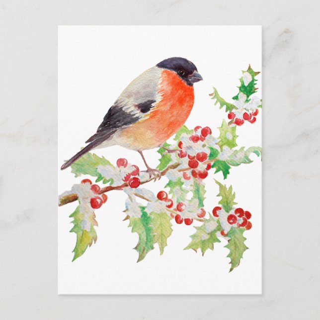 Bullfinch auf dem heiligen Zweig in der Schneepack Postkarte (Vorderseite)