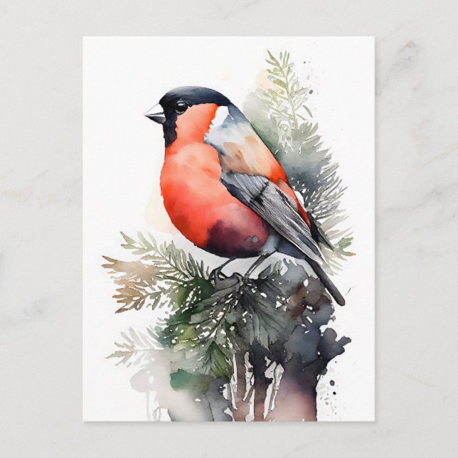 Bullfinch über Wasserfarben auf einer Kiefernstras Postkarte (Vorderseite)