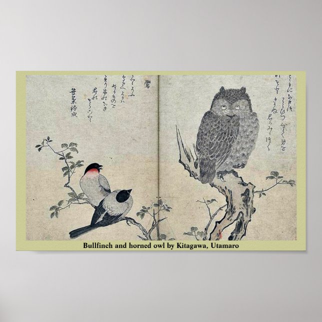 Bullfinch und Hornkeule von Kitagawa, Utamaro Poster (Vorne)