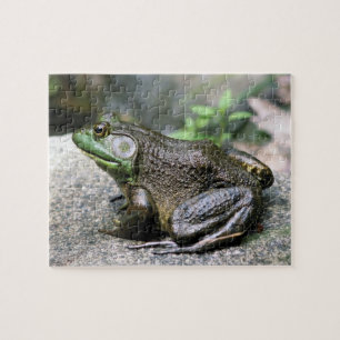Bullfrog auf Felslandschaft Puzzle