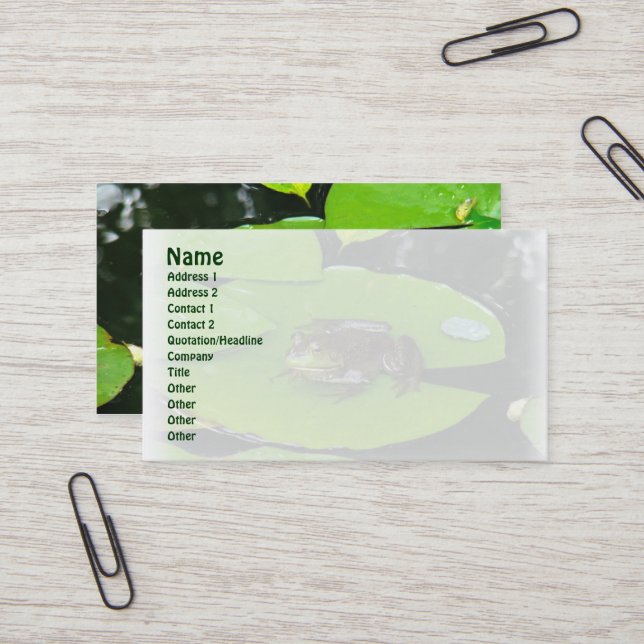 Bullfrog auf Lilypads Business Card Visitenkarte (Vorderseite/Rückseite Beispiel)
