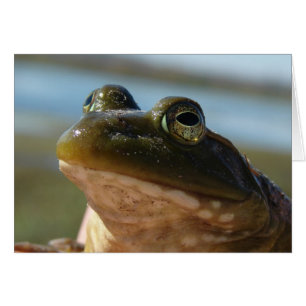 Bullfrog Foto, Prince Spaß