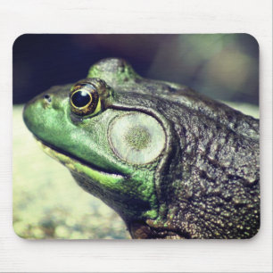 Bullfrog Gedanken Natur Mousepad