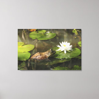 Bullfrog in Lily Pond Leinwanddruck