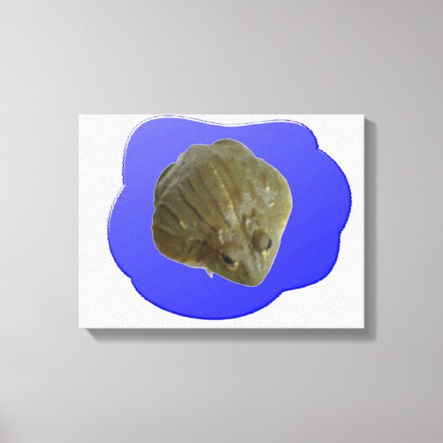 Bullfrog in Pond Canvas Print Leinwanddruck (Vorderseite)