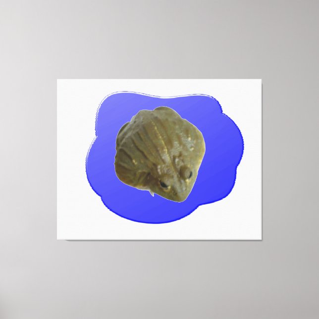 Bullfrog in Pond Canvas Print Leinwanddruck (Vorderseite)