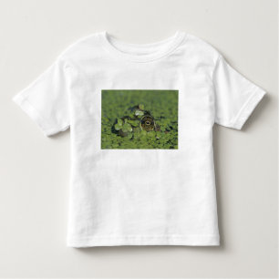 Bullfrog, Rana catesbeiana, erwachsen in Entenkrau Kleinkind T-shirt