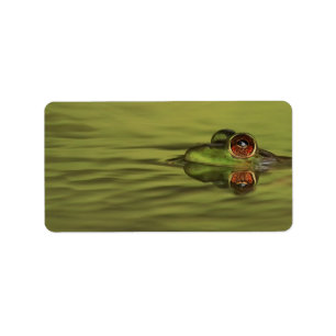 Bullfrog Swimming Address Labels Adressaufkleber