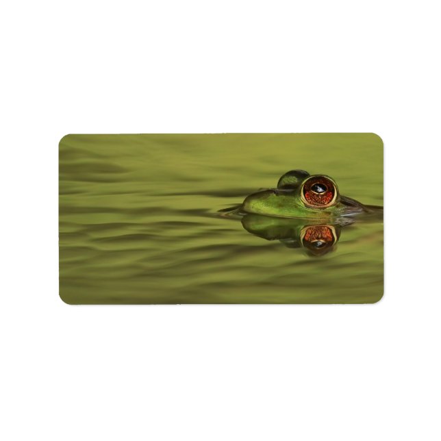 Bullfrog Swimming Address Labels Adressaufkleber (Vorne)