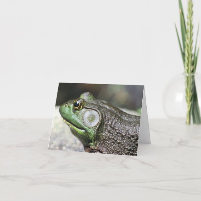 Bullfrog Thoughts Nature Photography Note Karte (Vorderseite)