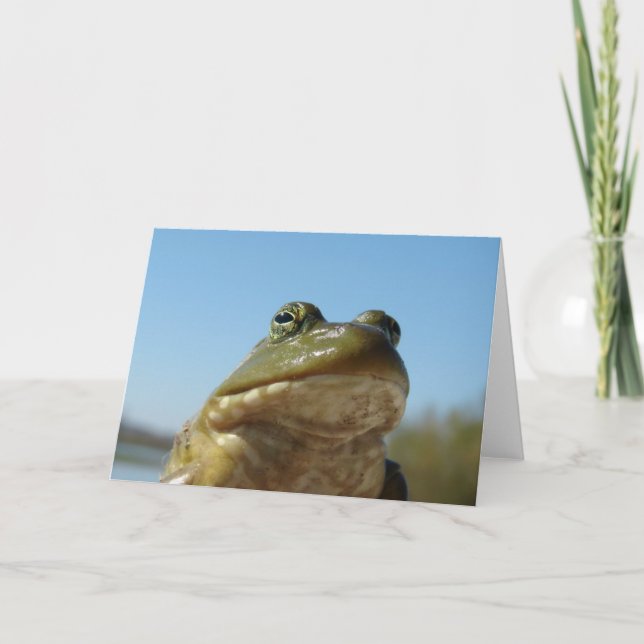 Bullfrosch Karte (Vorderseite)