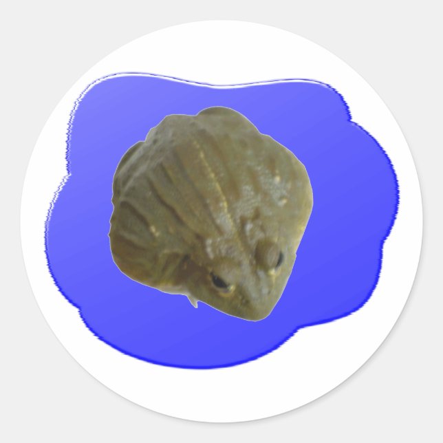 Bullfrosch-Sticker Runder Aufkleber (Vorderseite)