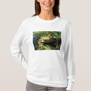 Bullfrosch. T-Shirt