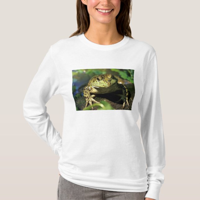 Bullfrosch. T-Shirt (Vorderseite)