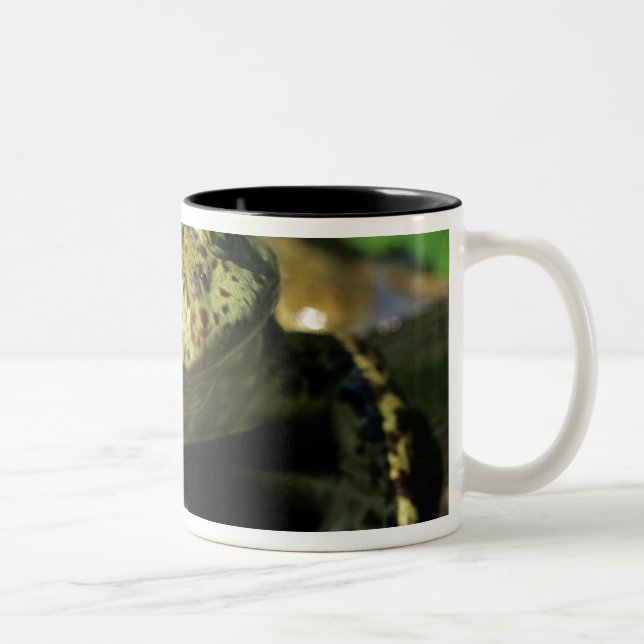 Bullfrosch. Zweifarbige Tasse (Rechts)