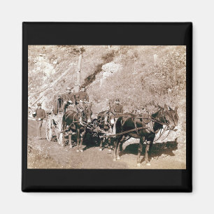 Bullion Bühne Coach Vintag Magnet