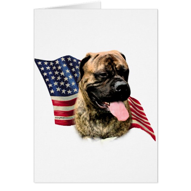 Bullmastiff (Vorne)