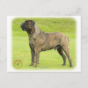 Bullmastiff 9R071D-077 Postkarte