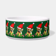 Bullmastiff Dog Christmas