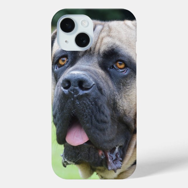 Bullmastiff Face Case-Mate iPhone Hülle (Rückseite)