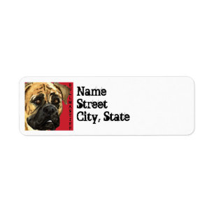 Bullmastiff Farbblock