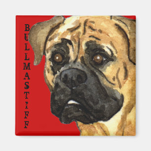 Bullmastiff-Farbblock Magnet