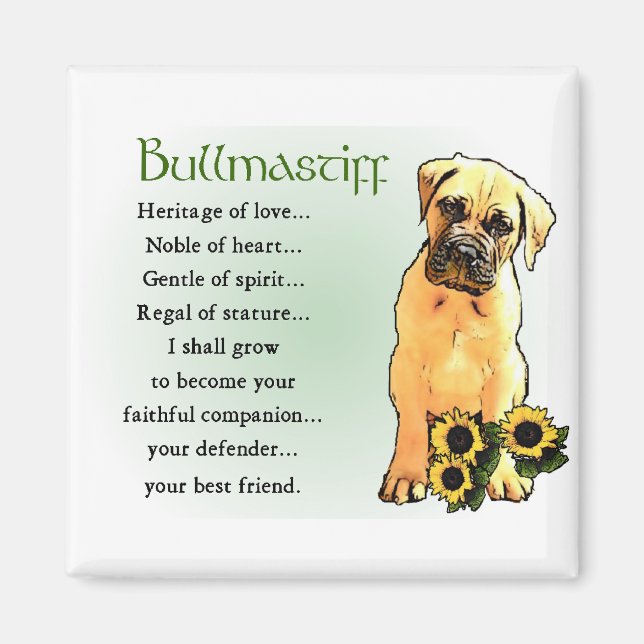 Bullmastiff-Geschenke Magnet (Vorne)