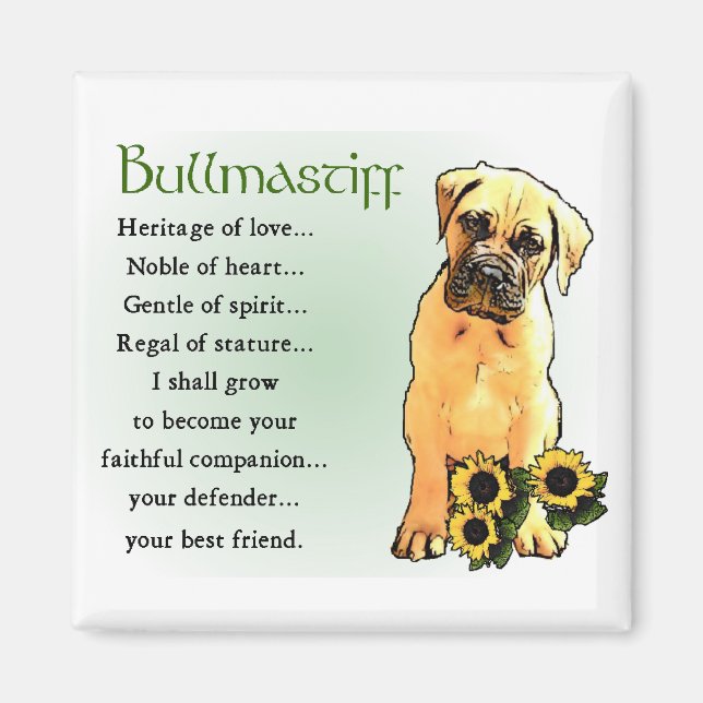 Bullmastiff-Geschenke Magnet (Vorne)