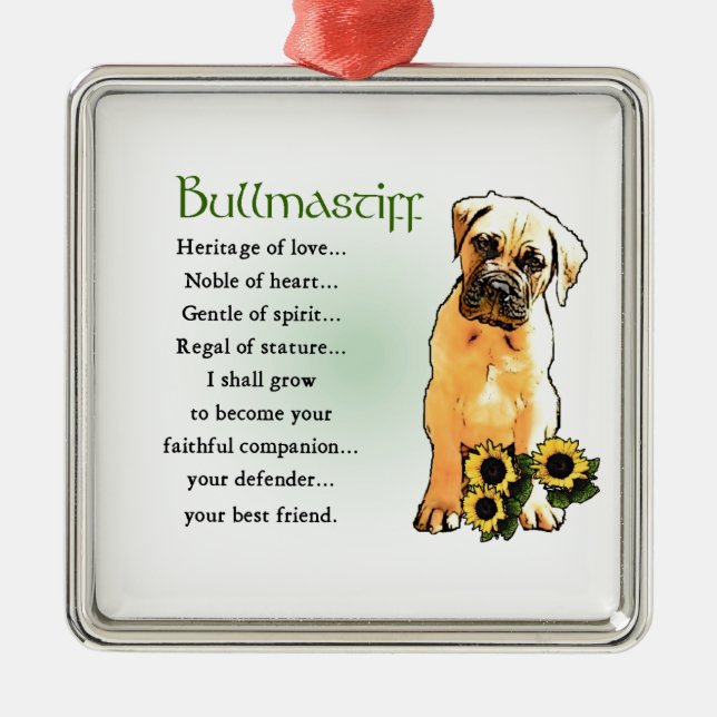 Bullmastiff Heritage of Liebe Geschenke Silbernes Ornament (Vorne)