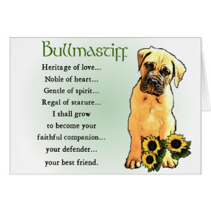 Bullmastiff Lovers Geschenke
