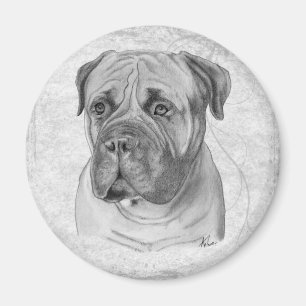 Bullmastiff Magnet