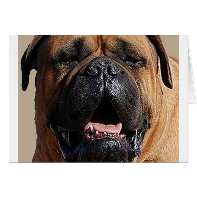 bullmastiff.png (Vorderseite (Horizontal))