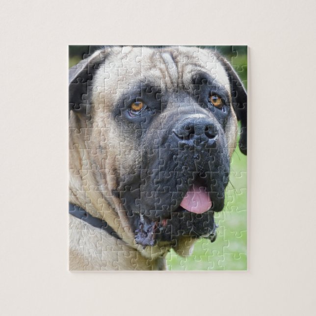 Bullmastiff Puzzle (Vertikal)