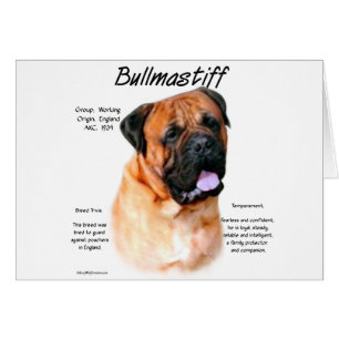 Bullmastiff (rot) History Design