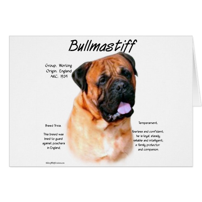 Bullmastiff (rot) History Design (Vorderseite (Horizontal))