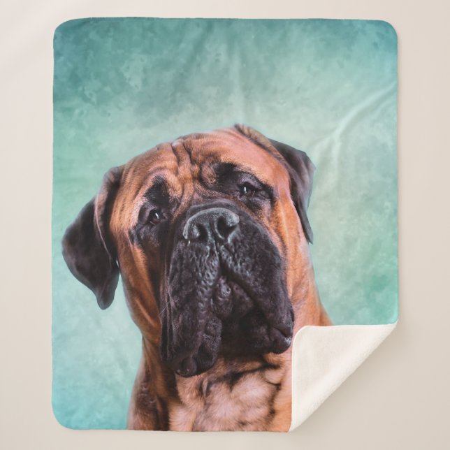 Bullmastiff Sherpadecke (Vorderseite)