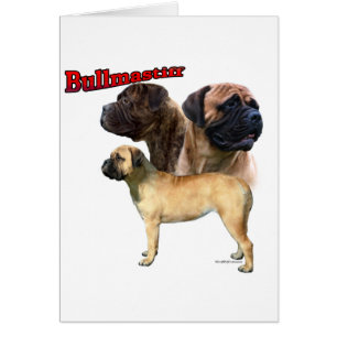 Bullmastiff Trio 2