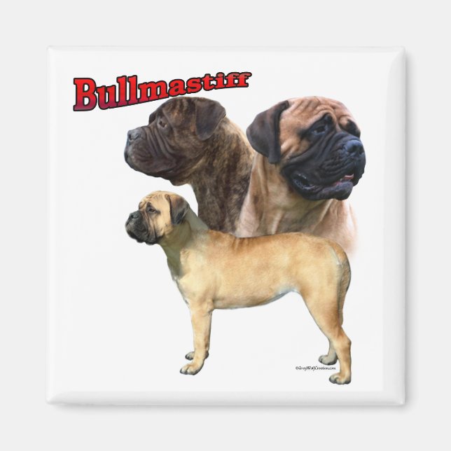 Bullmastiff Trio 2 - Magnet (Vorne)