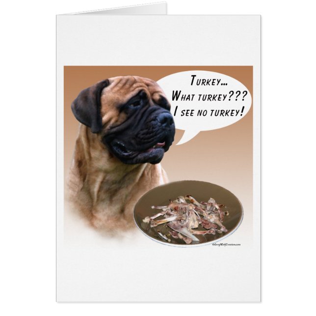 Bullmastiff Türkei (Vorne)